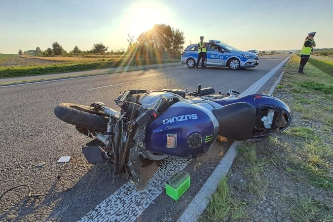 Motocyklista zginął po zderzeniu z łosiem na obwodnicy Kraśnika