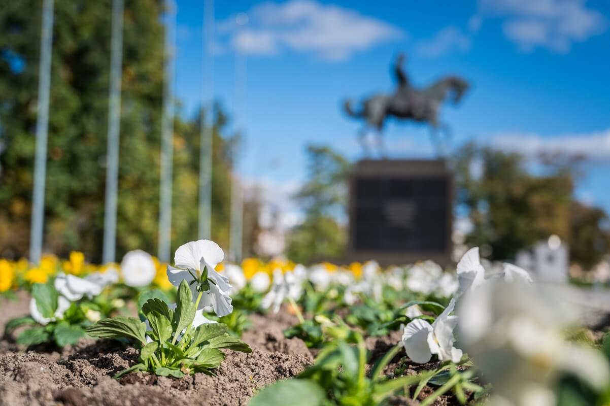 Nowe jesienne nasadzenia na Placu Litewskim