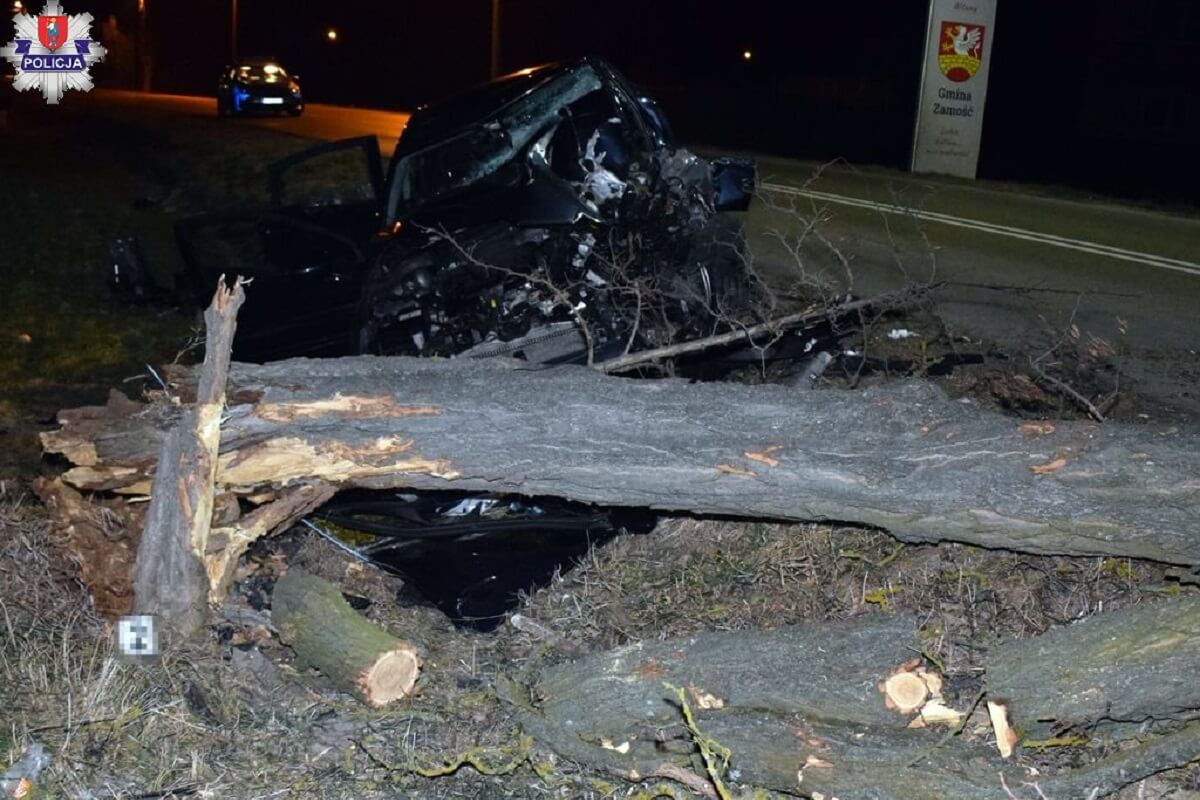 Pijany 30-latek stracił panowanie nad pojazdem i uderzył w drzewo. Miał ponad 1,5 promila alkoholu 1 drzewo, wypadek samochodowy
