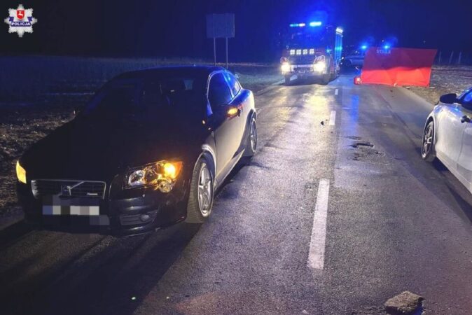 Śmiertelny wypadek na drodze Opole Lubelskie - Puławy