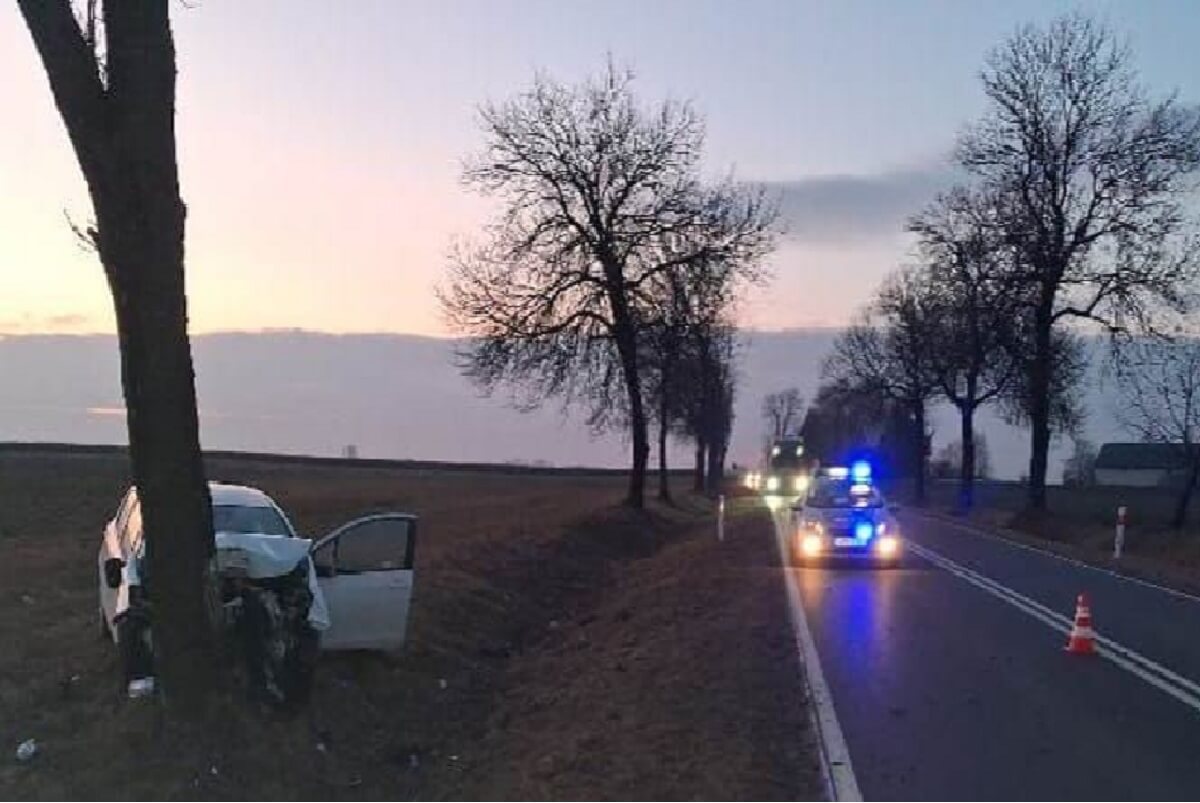 Jadąc Toyotą 27-latek wjechał w stado saren, a następnie uderzył w drzewo. Z miejsca wypadku zabrała go helikopter