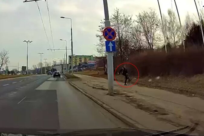Mężczyzna kopnął psa podczas spaceru na ul. Mełgiewskiej w Lublinie
