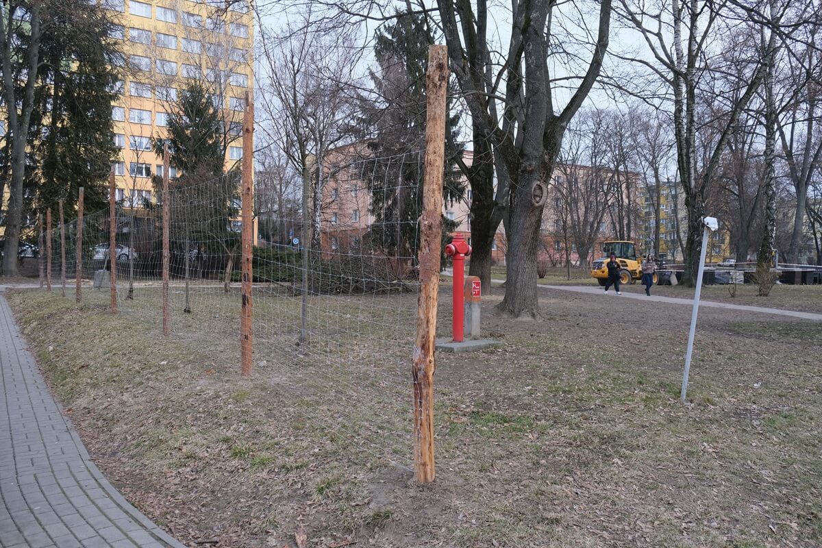 Rewitalizacja skweru „Małpi Gaj” na terenie miasteczka akademickiego UMCS