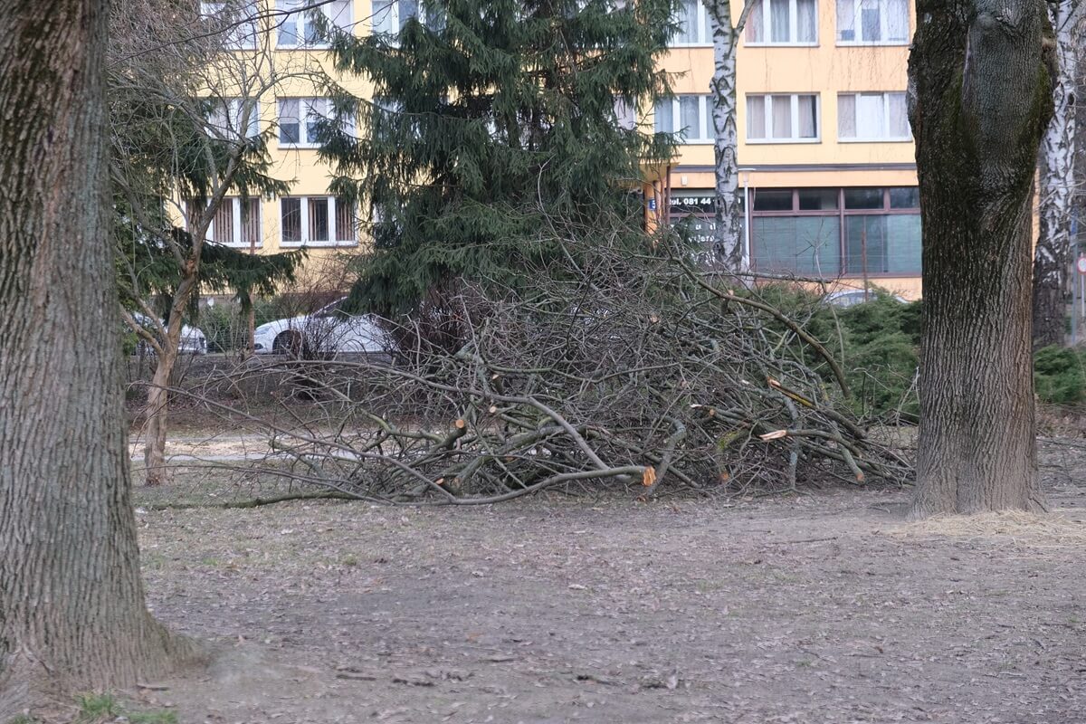 Rewitalizacja skweru „Małpi Gaj” na terenie miasteczka akademickiego UMCS