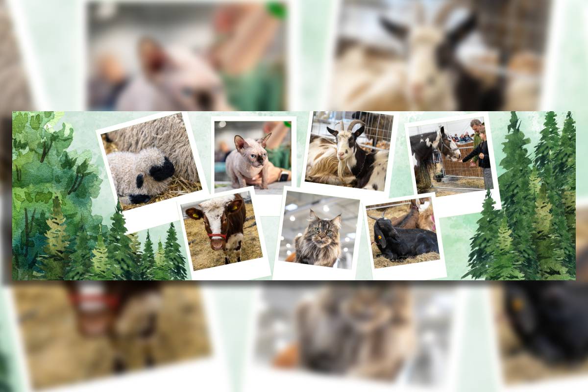 Odkryj świat zwierząt na ZOOPARKU 2025! Odwiedź jedyne ZOO w Lublinie! 2 grafika zoo park