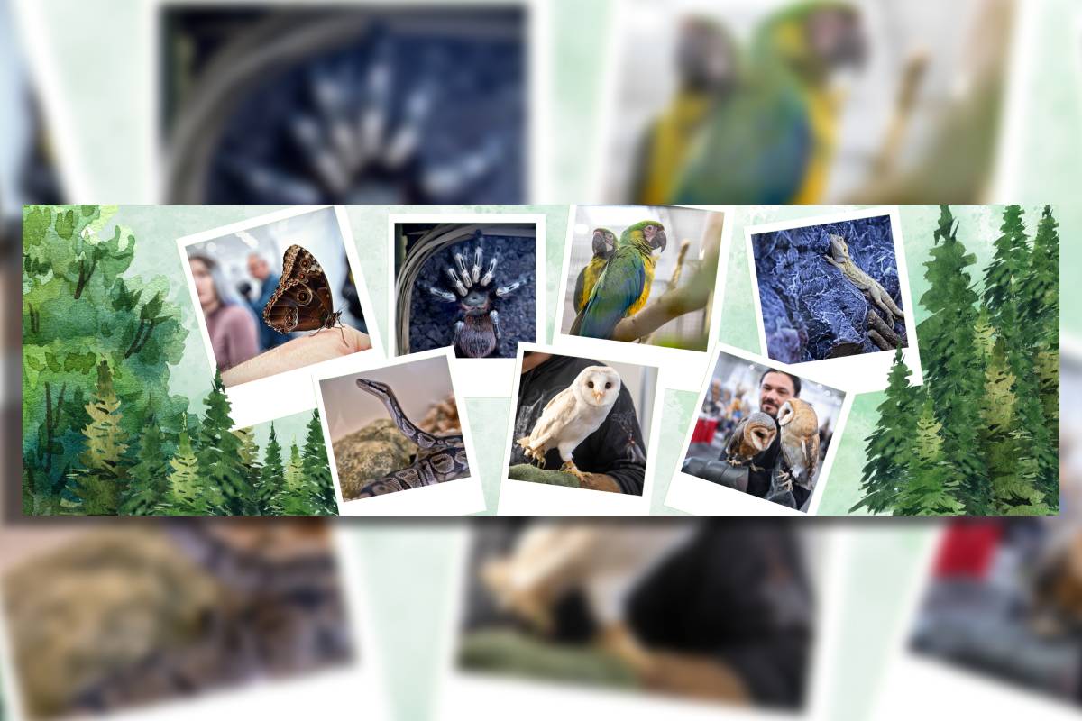 Odkryj świat zwierząt na ZOOPARKU 2025! Odwiedź jedyne ZOO w Lublinie! 3 grafika zoo park
