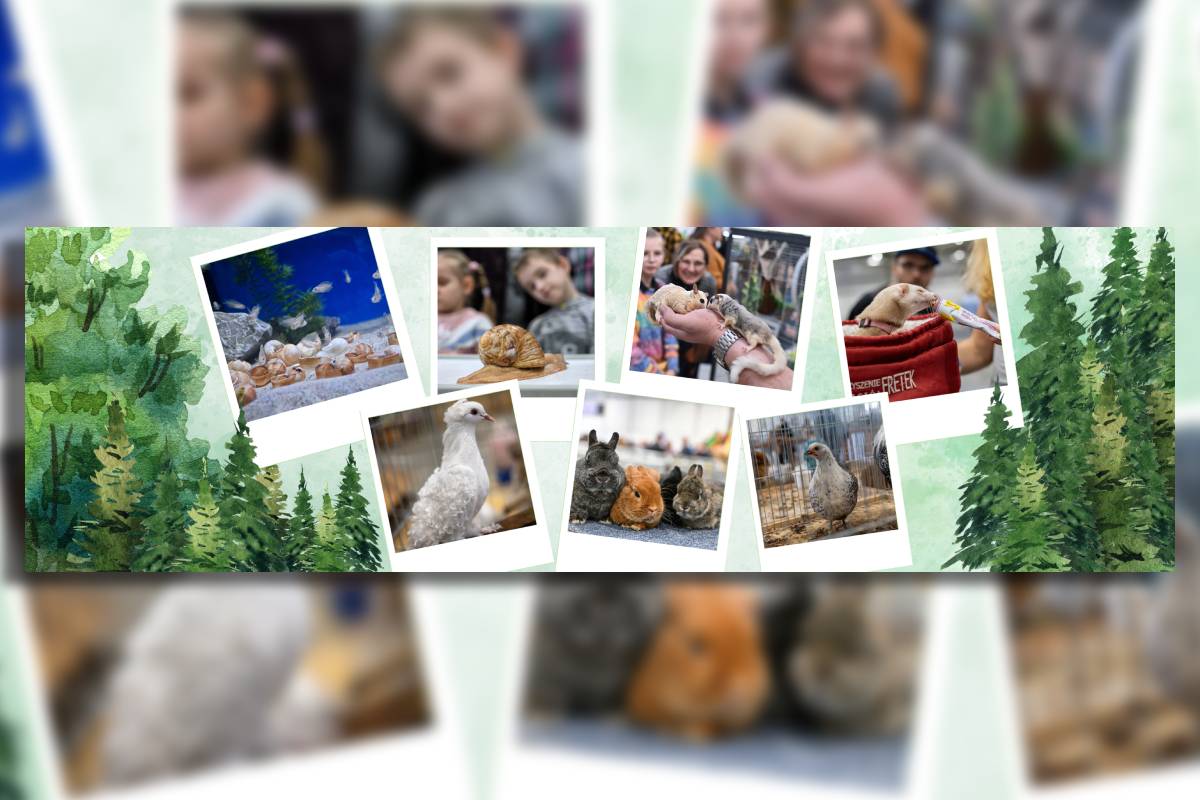Odkryj świat zwierząt na ZOOPARKU 2025! Odwiedź jedyne ZOO w Lublinie! 4 grafika zoo park